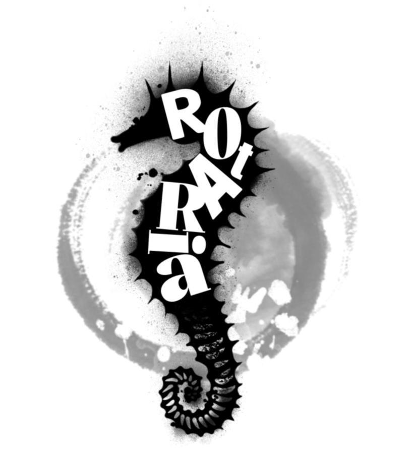 Rota Ria Alojamento Local Aveiro Exterior photo